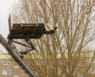 Möbellift in Meiningen: Möbellift zwischen kahlen Bäumen vor einem Gebäude