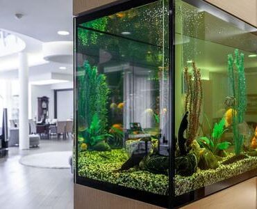 Aquarium-Umzug Meiningen: Großes Aquarium in einem modernen Wohnzimmer