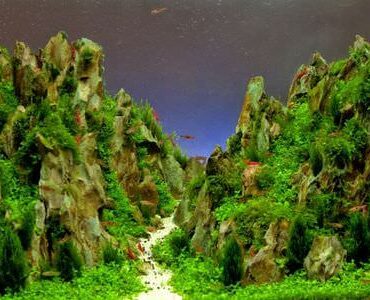 Aquarium-Umzug Meiningen: Aquarium mit Felslandschaft und Pflanzen